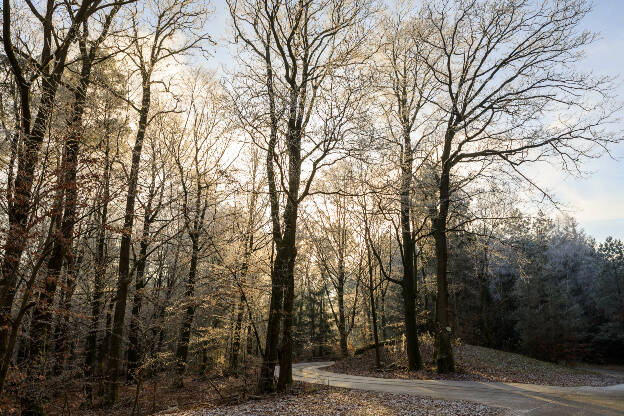Ambiance givrée