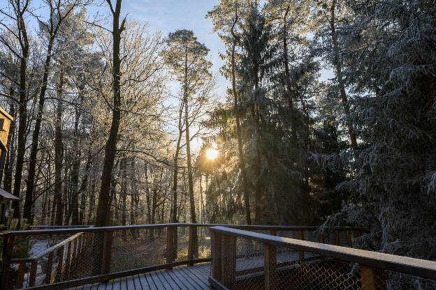 Ambiance givrée