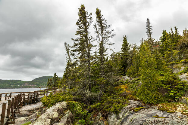 Tadoussac