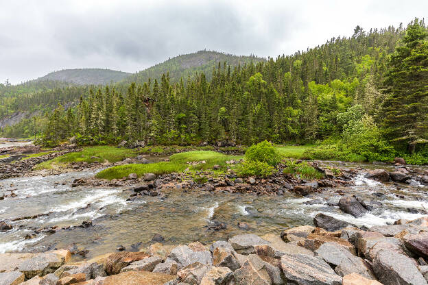 Baie des Rochers