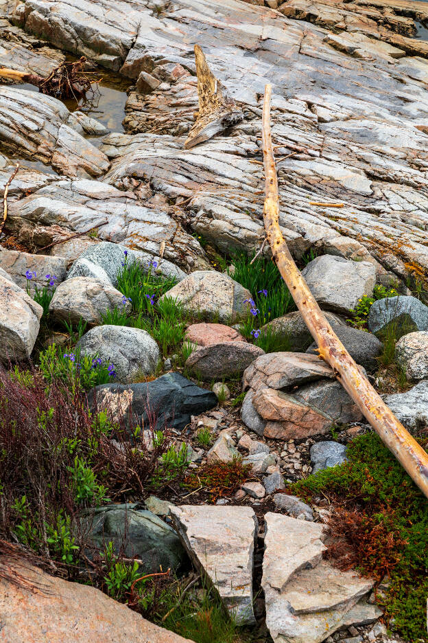 Tadoussac