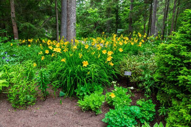 Jardins de Métis