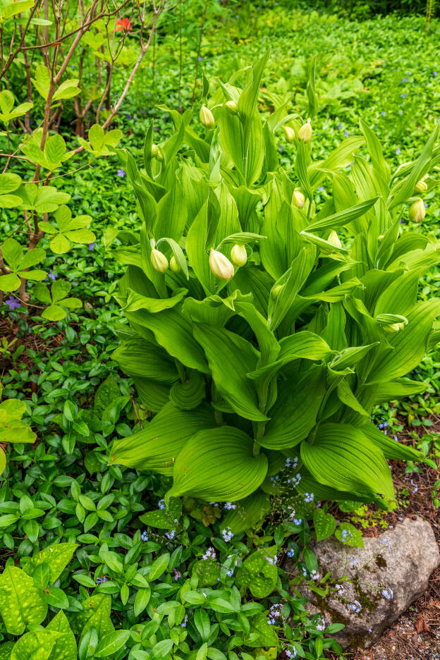 Jardins de Métis