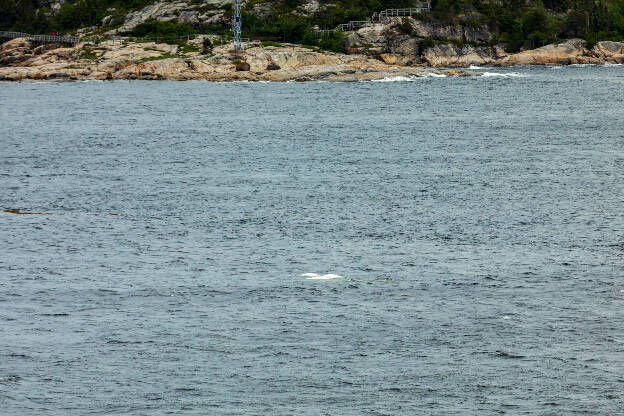 Tadoussac