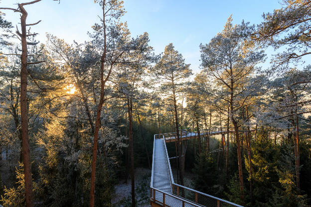 Ambiance givrée