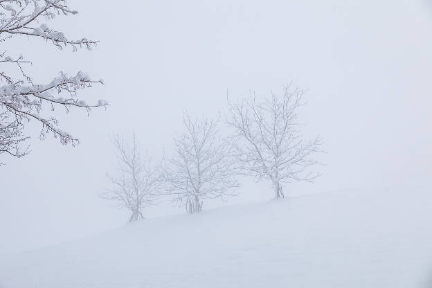 Neige au Pays de Dabo