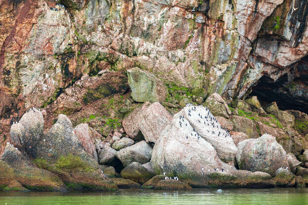 Ile Bonaventure