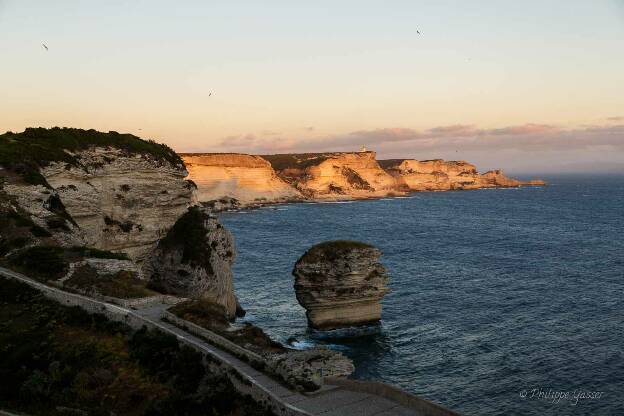 Corse