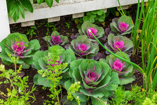 Jardins de Métis